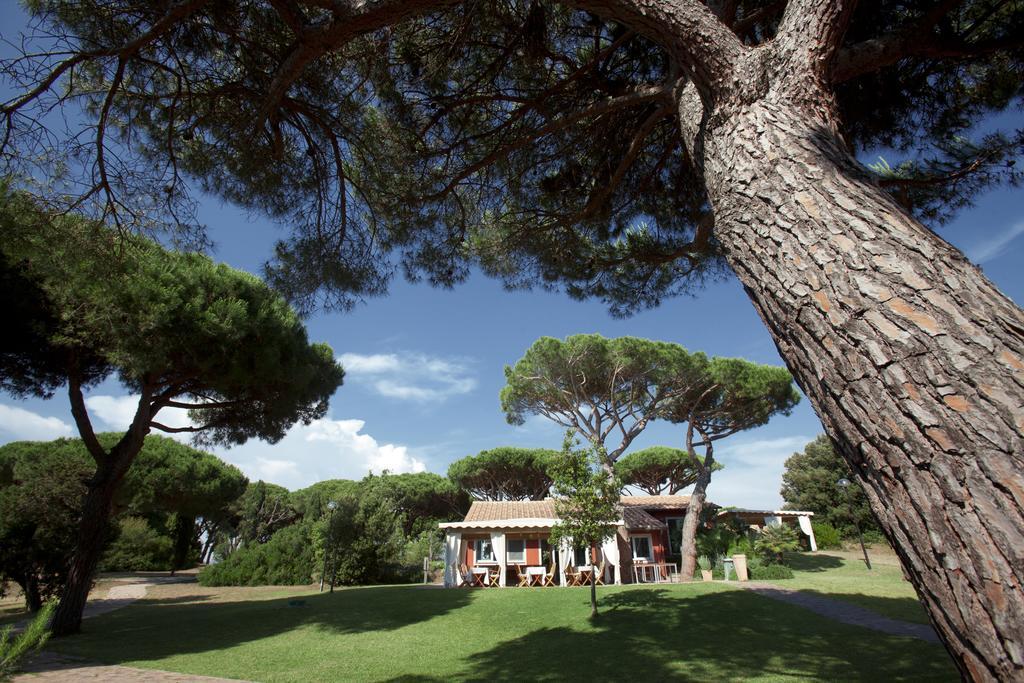 Pineta 3* Albinia