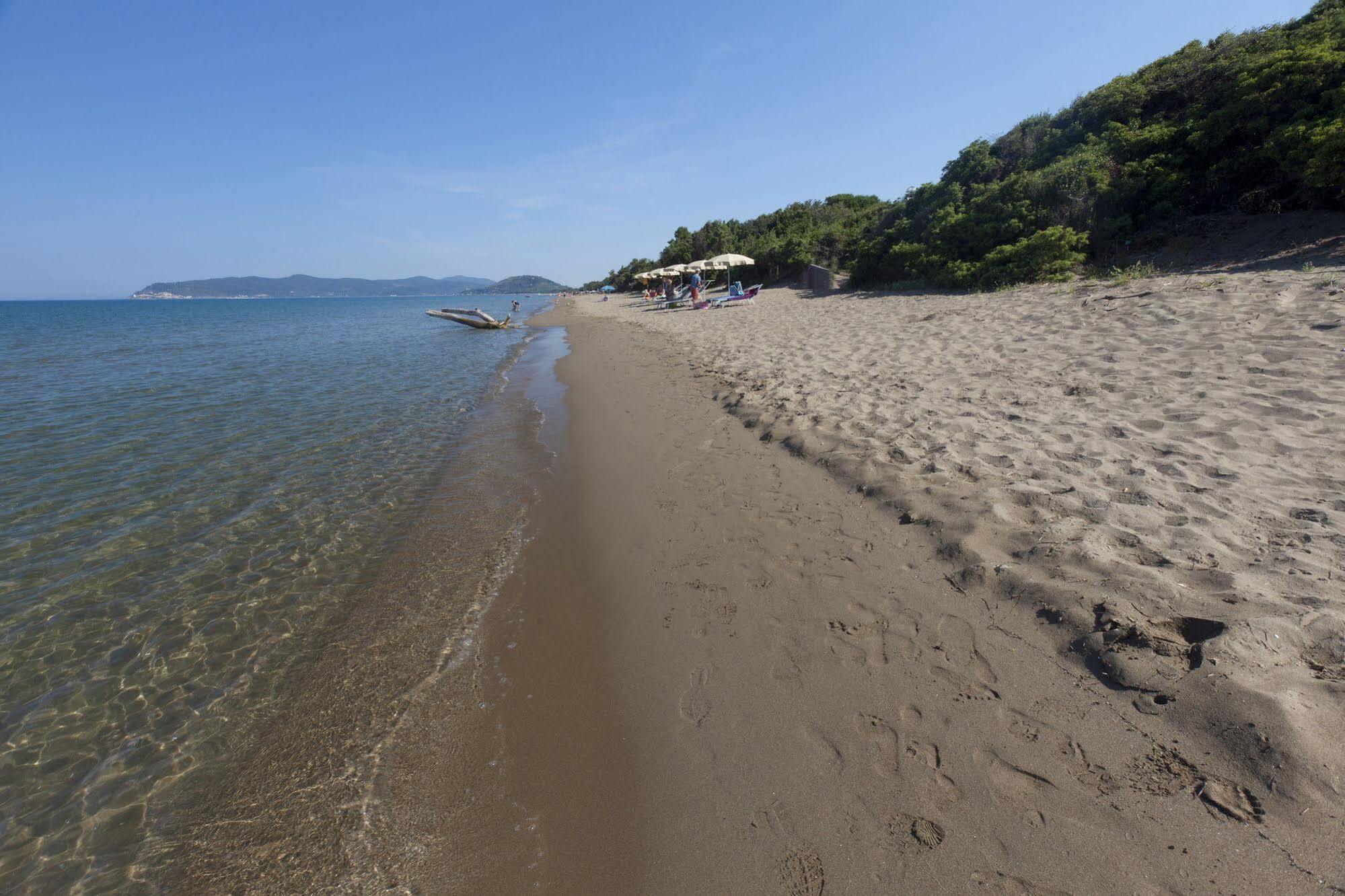 Pineta Aparthotel